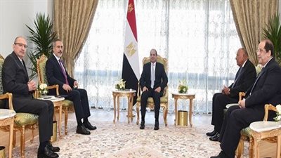 تطورات التعاون الثنائي.. تفاصيل لقاء الرئيس ووزير خارجية تركيا