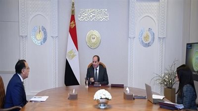 لمواجهة التحديات التنموية.. تفاصيل اجتماع الرئيس السيسي ووزيرة التعاون الدولي 