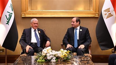 لدعم استقرار الأوضاع بمنطقة الشرق الأوسط.. الرئيس السيسي يؤكد دعم مصر لاستقرار الأوضاع بالعراق