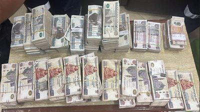 نصاب يستولى على 24 مليون جنيه من مواطنين بالإسكندرية