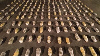 بالصور.. مصرع تاجر وإصابة ضابط شرطة.. الداخلية تضبط 2 طن حشيش وهيدر