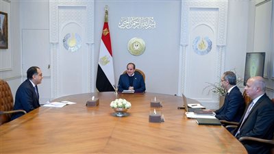 الرئيس السيسي يطلع على جهود تنفيذ استراتيجية مصر الرقمية