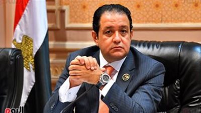 علاء عابد : دعم مصر لوقف إطلاق النار على غزة يعكس دورها الريادى لحفظ استقرار المنطقة