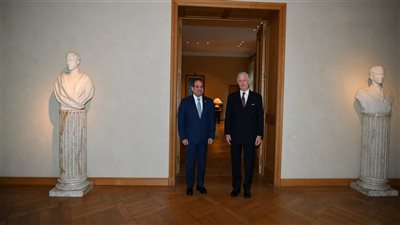 تفاصيل لقاء الرئيس السيسي بملك بلجيكا.. مشاورات هامة ودعوة لزيارة مصر