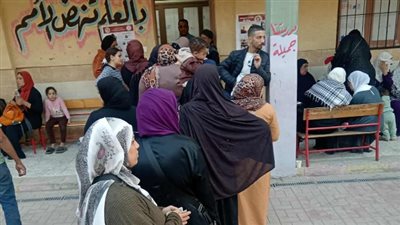 انتخابات مجلس النواب 2025 .. إقبال من كبار السن للتصويت في لجنة مدرسة محمد كريم بالجيزة